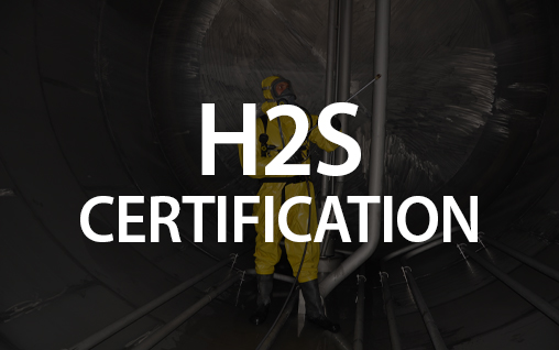H2S logo